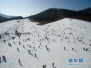 沈阳滑雪场教练游客起冲突　滑雪教练回应：游客打教练在先