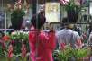 周末又多一处赏花地　中国国际花卉园艺展览会北京开幕