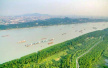 南京未来三年将在长江岸边修复湿地100公顷