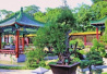 郑州市人民公园秋园盆景展已免费开展
