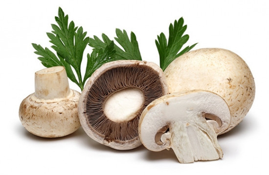 常见食用蘑菇种类及美图