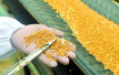 贾汪区国有粮食购销企业全面启动ISO9001质量管理体系认证