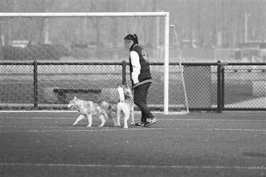 沈阳儿童足球公园有人遛狗 市民:人玩的地方狗