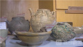全国文物专家为常州象墩遗址考古发掘进行论证