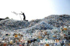 中国“洋垃圾”禁令实施三个月　美国垃圾堆成山