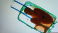 摩洛哥偷渡客冒死藏身行李箱 不幸窒息身亡