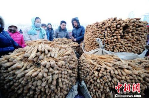资料图：甘肃岷县中国当归城内中药材交易场景。杨艳敏 摄