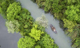 杭州人均公共绿地面积增两倍，森林覆盖率连续三年居副省级城市首位