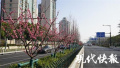 南京苜蓿园大街整治完毕　瑞金路即将动工“整容”