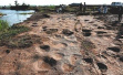 侏罗纪猜想证实　山东郯城发现300个恐龙足迹
