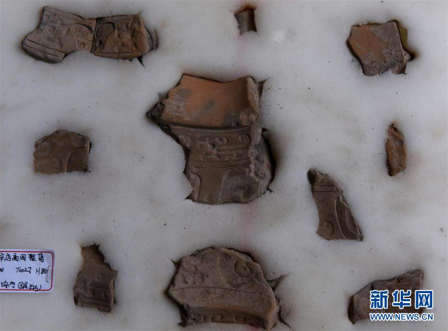 安阳辛店遗址出土一批商代晚期青铜礼器