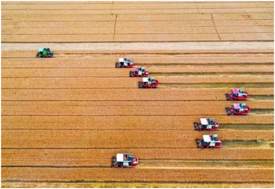 34.36万亩 河南沁阳市麦收工作全面结束