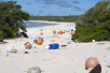 数吨塑料垃圾淹没遥远太平洋小岛