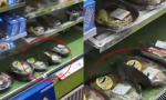 上海一便利店现大老鼠　蹲在盒饭上