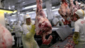 基于对食品安全的关切 美国全面停止进口巴西生鲜牛肉