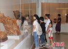 2017南宁市传统工艺美术作品展在南宁博物馆开展
