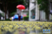 济南市天气预报：4日济南全市降雨量或达5至8毫米