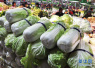 上周郑州蔬菜涨幅明显　预计后期将有所回落