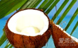 椰子什么时候成熟 椰子什么时候吃最好