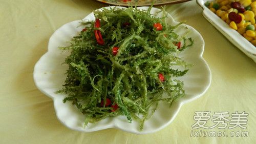 鹿角菜的功效与作用 鹿角菜是什么植物 鹿角菜