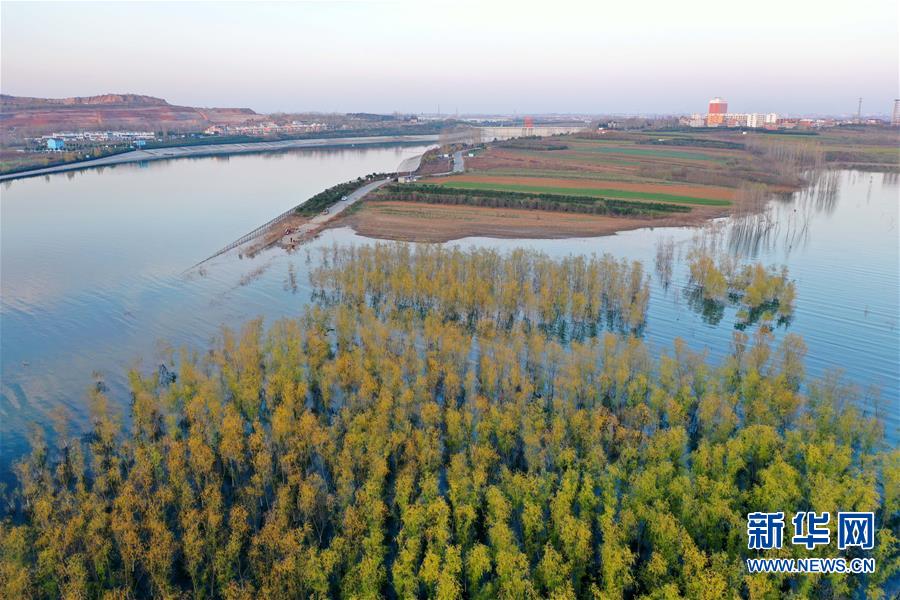 （环境）（8）俯瞰河南淅川丹江口水库库区